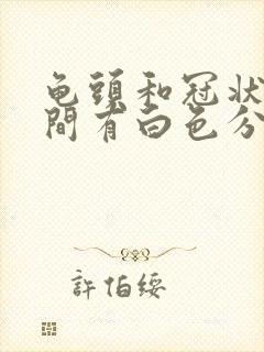 龟头和冠状沟之间有白色分泌物封面