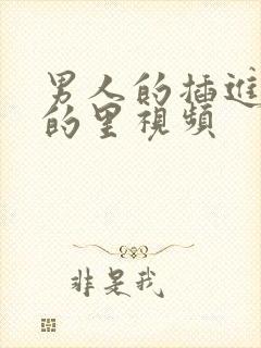 男人的插进女人的里视频