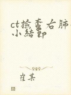 ct检查右肺微小结节