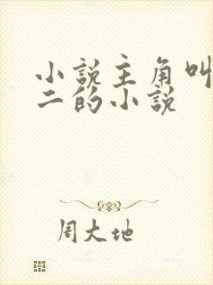 小说主角叫苏十二的小说封面