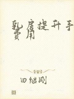 乳房提升手术的费用