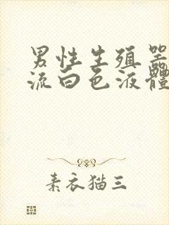 男性生殖器里面流白色液体