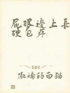 屁眼边上长了个硬包疼