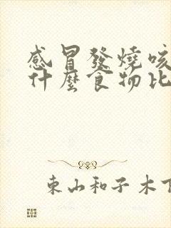 感冒发烧咳嗽吃什么食物比较好