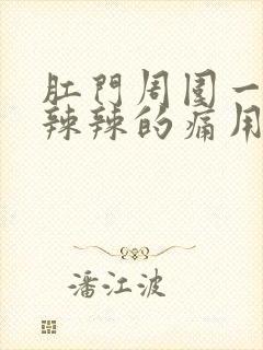 肛门周围一圈火辣辣的痛用什么药