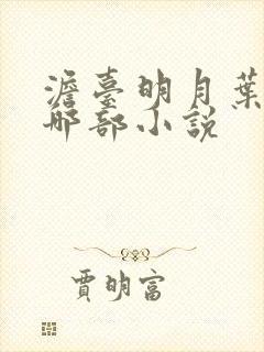 澹台明月叶玄是哪部小说