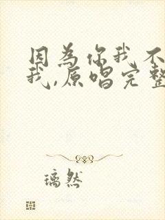 因为你我不在是我,原唱完整版