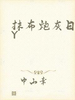 抹布炮灰日记BY