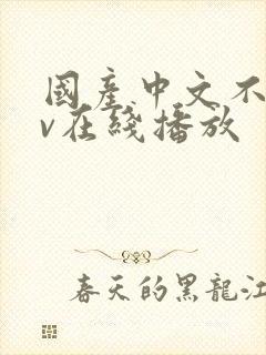 国产中文不卡av在线播放