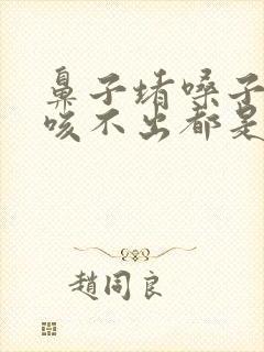 鼻子堵嗓子有痰咳不出都是黄痰