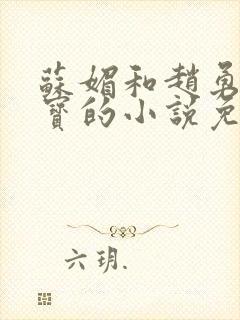 苏媚和赵勇赵大宝的小说免费