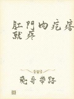 肛门肉疙瘩一碰就疼