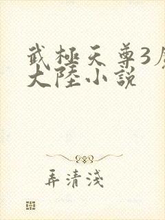 武极天尊3魔方大陆小说