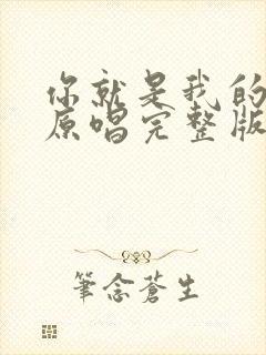 你就是我的唯一原唱完整版封面