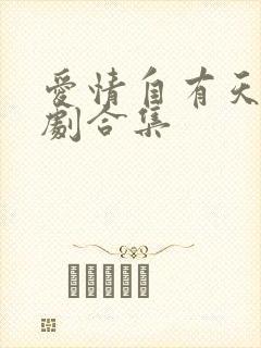 爱情自有天意短剧合集