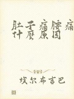 肚子痛腰痛呕吐什么原因