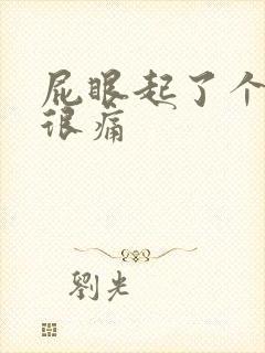 屁眼起了个疙瘩很痛