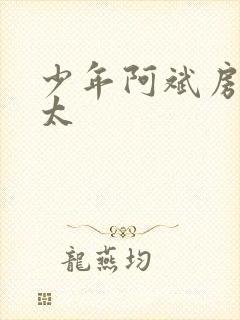 少年阿斌房东太太