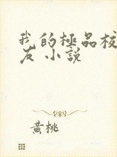 我的极品校花女友 小说