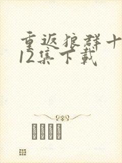 重返狼群十周年12集下载封面