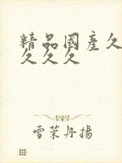 精品国产久久久久久久