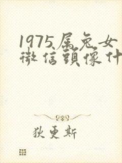 1975属兔女微信头像什么最好