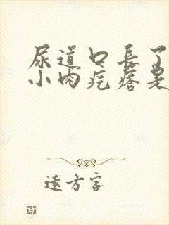 尿道口长了一个小肉疙瘩是怎么治疗