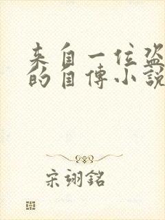 来自一位盗墓者的自传小说阅读