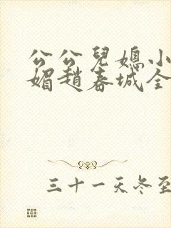 公公儿媳小说苏媚赵春城全文阅读封面