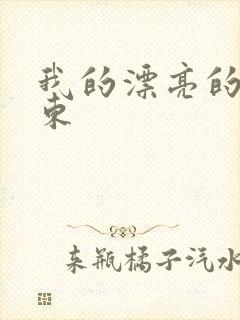 我的漂亮的女房东