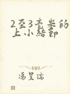 2至3毫米的肺上小结节