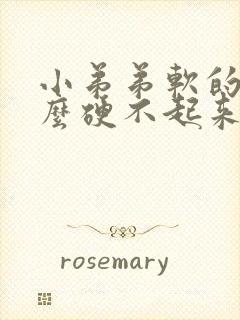 小弟弟软的为什么硬不起来