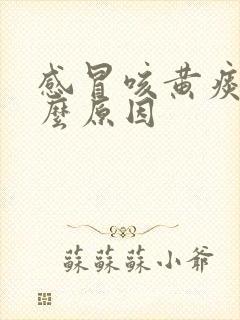 感冒咳黄痰是什么原因