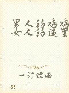 男人的鸡鸡插进女人的逼里