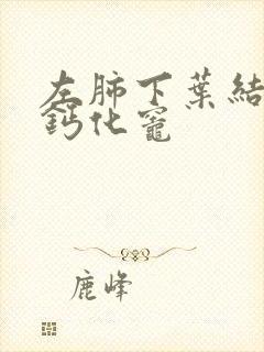 左肺下叶结节样钙化灶