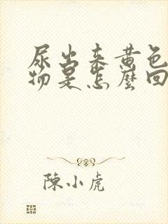 尿出来黄色浑浊物是怎么回事