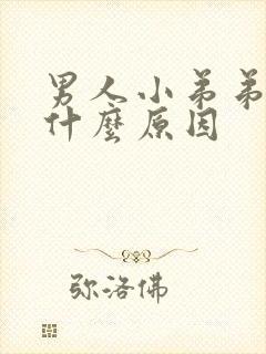 男人小弟弟不硬什么原因封面