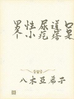 男性尿道口长一个小疙瘩是怎么回事