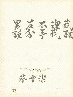 男友不理我也不说分手我该怎么办