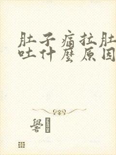 肚子痛拉肚子呕吐什么原因引起的