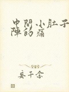 中间小肚子阵一阵的痛