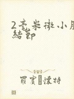 2毫米微小肺有结节