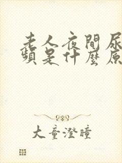 老人夜间尿多尿频是什么原因引起的封面