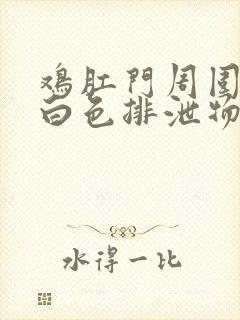 鸡肛门周围糊有白色排泄物