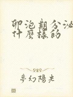 卵泡期分泌物是什么样的