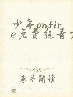 少年onfire免费观看完整版封面