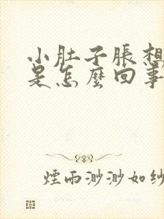 小肚子胀想小便是怎么回事封面