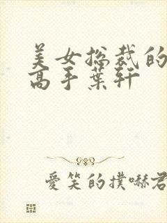 美女总裁的顶级高手叶轩