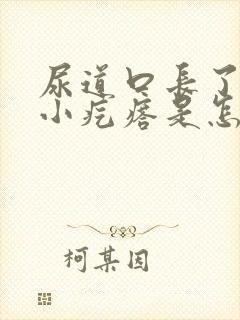 尿道口长了一圈小疙瘩是怎么回事