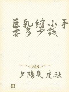 巨乳缩小手术需要多少钱封面